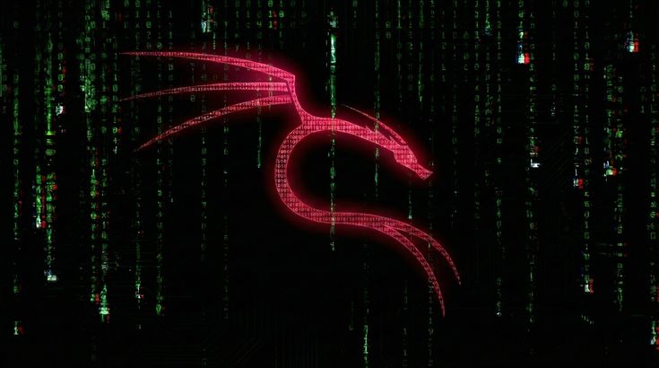 Install Kali Linux on VMware: Definitive Kali Linux Installation Guide 2026 for a Smooth Setup