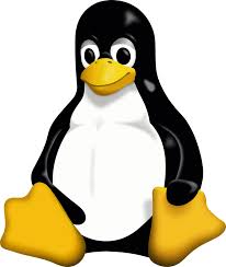 Linux Kernel Explained: 7 Simple Facts About the Heart of Every Linux System